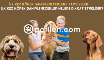 İlk Kez Köpek Sahipleneceklere Tavsiyeler | İlk Kez Köpek Sahiplenecekler Nelere Dikkat Etmelidir?