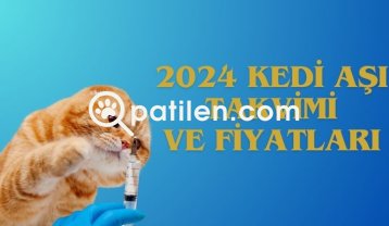 2024 Kedi Aşı Takvimi ve Fiyatları