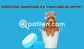 Köpeğimi Şampuan İle Yıkayabilir Miyim?