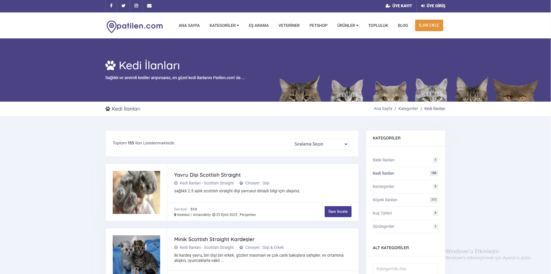 Patilen.com kedi ilanları inceleme.